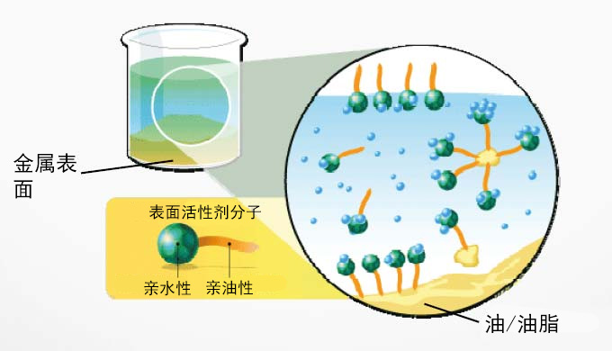 
表面活性剂影响：全球机制