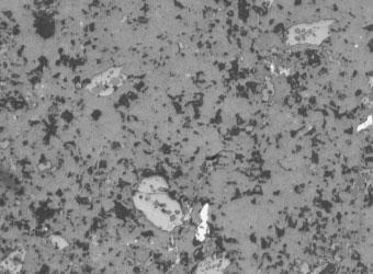 石灰石：用3μ的金刚石膏抛光（10倍放大）

